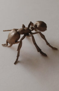 3d ant print in hand