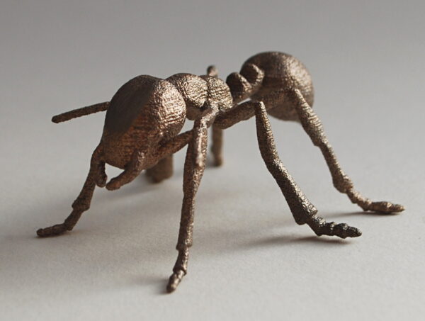Ant 3D Sculpture 3D print